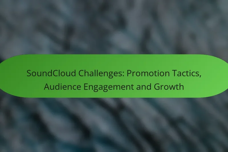 SoundCloud Challenges: Promotion Tactics, Audience Engagement and Growth