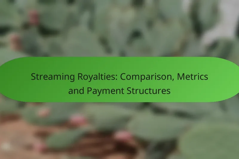Streaming Royalties: Comparison, Metrics and Payment Structures