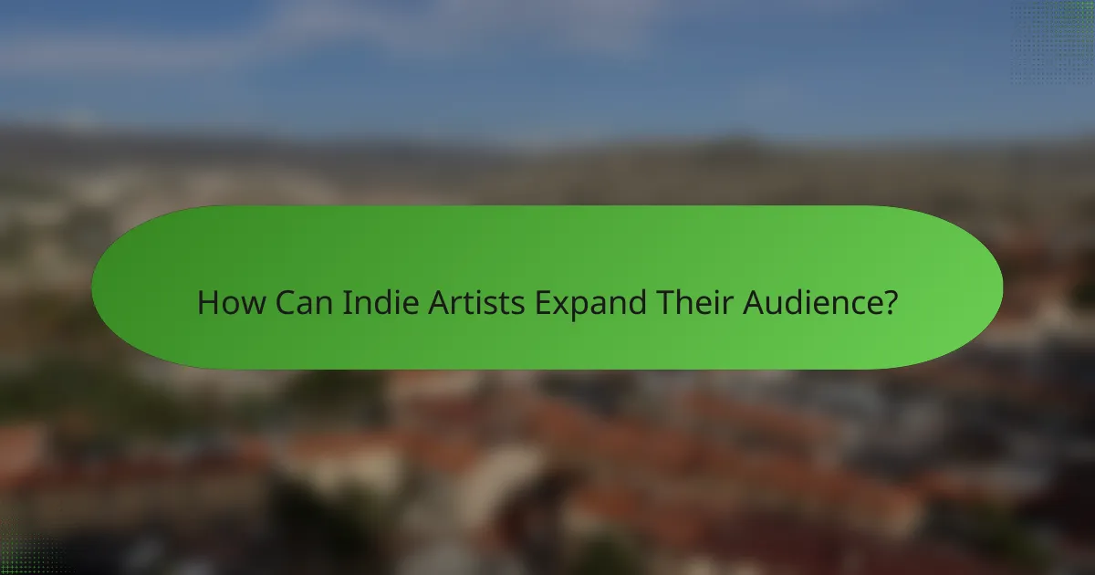 How Can Indie Artists Expand Their Audience?