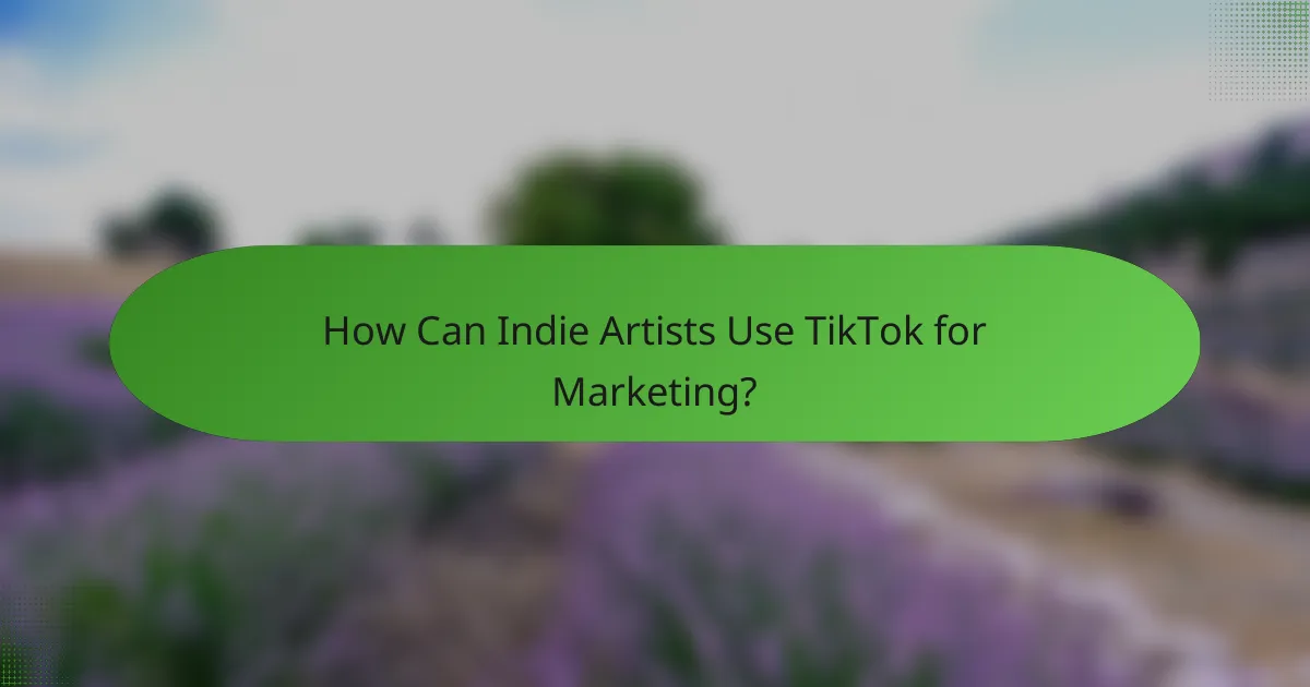 How Can Indie Artists Use TikTok for Marketing?