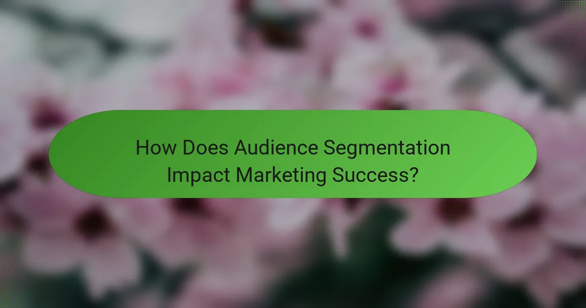 How Does Audience Segmentation Impact Marketing Success?