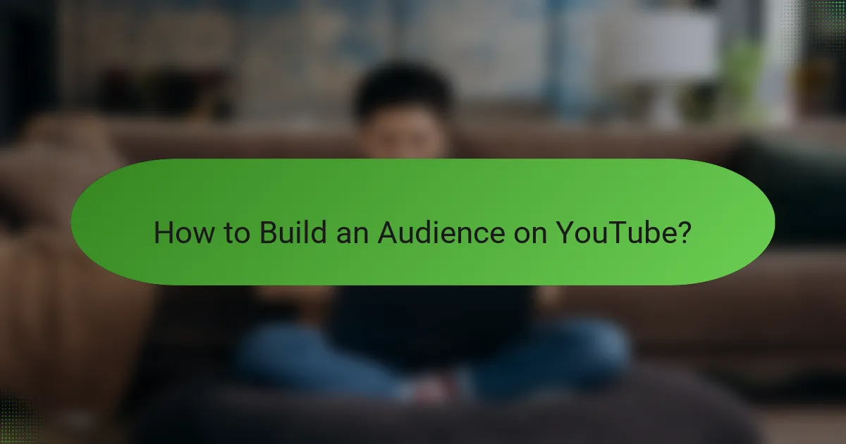 How to Build an Audience on YouTube?