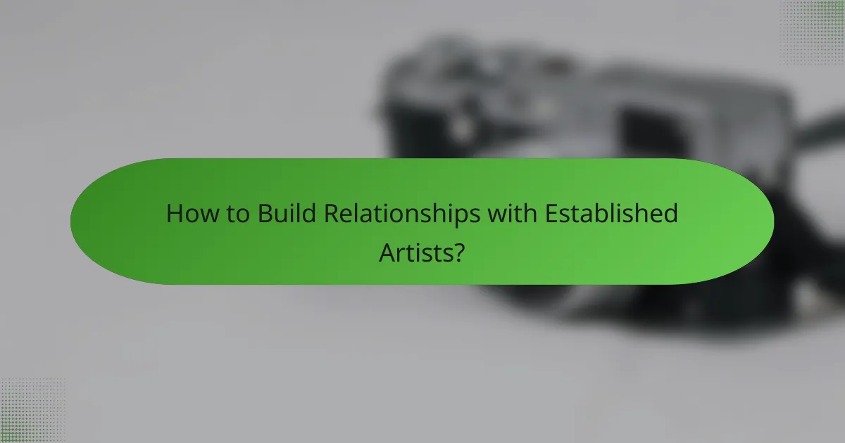 How to Build Relationships with Established Artists?