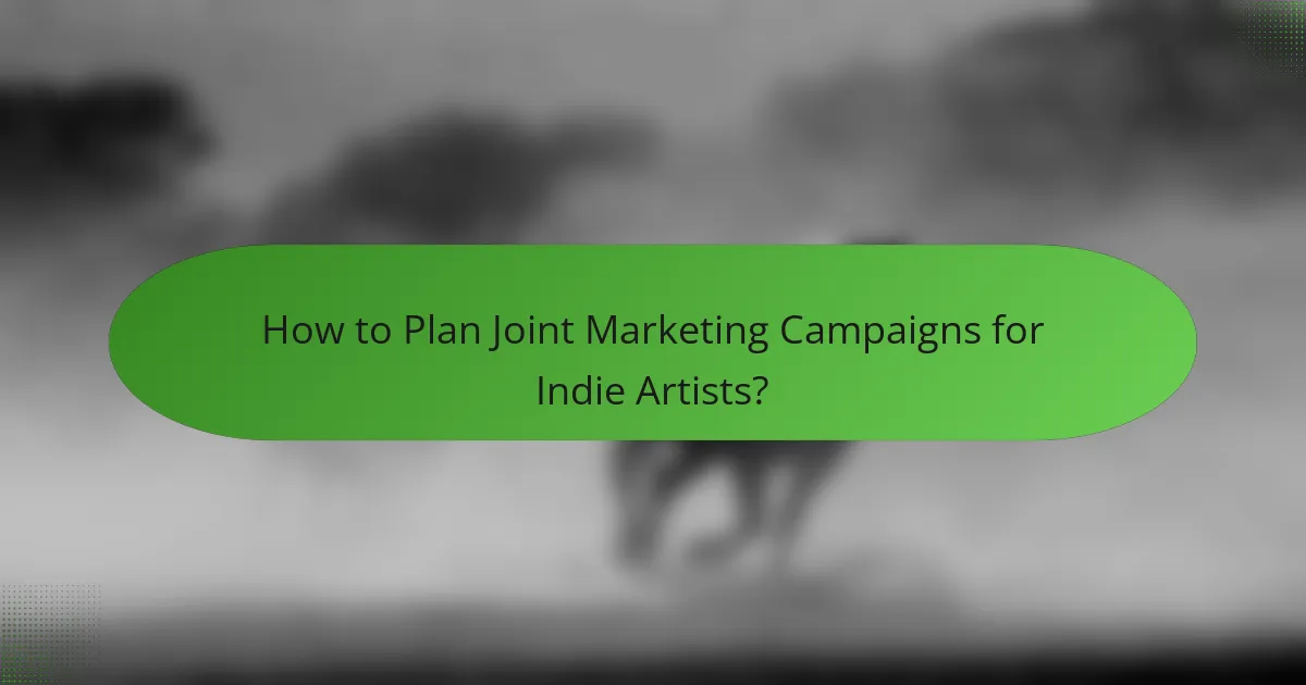 How to Plan Joint Marketing Campaigns for Indie Artists?