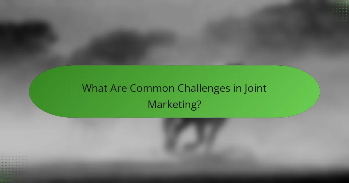 What Are Common Challenges in Joint Marketing?