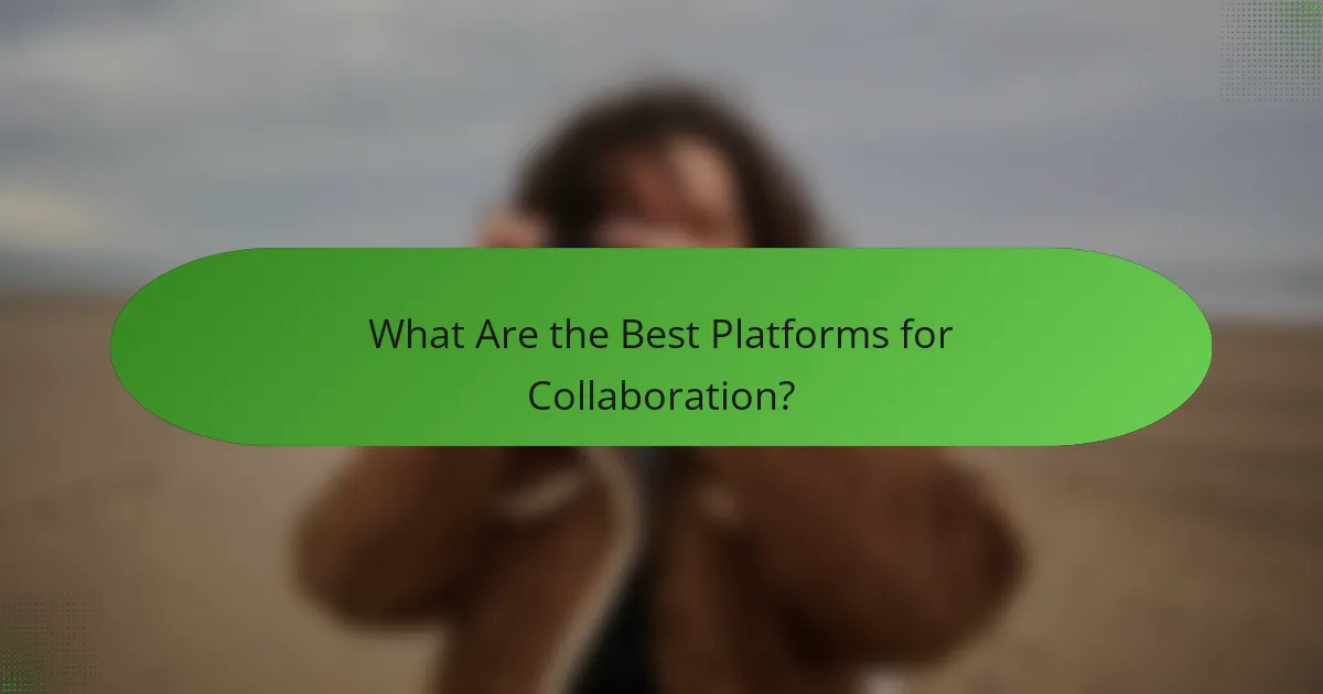 What Are the Best Platforms for Collaboration?