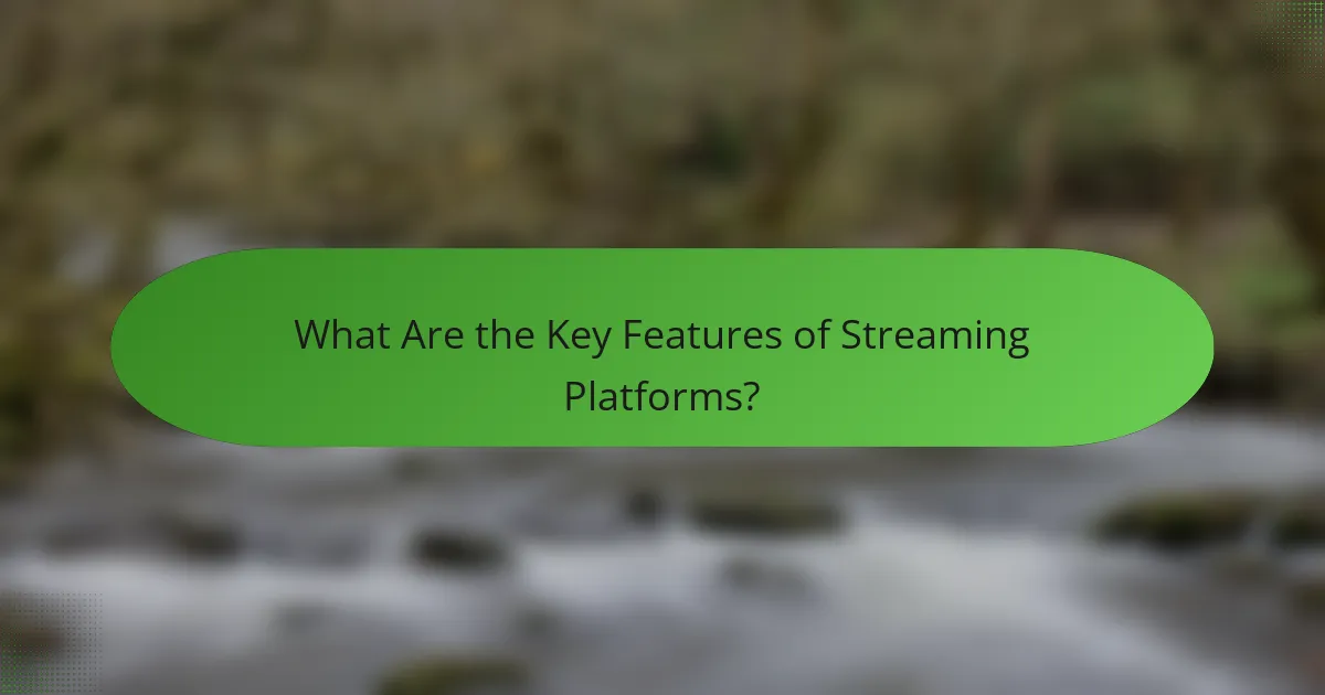 What Are the Key Features of Streaming Platforms?