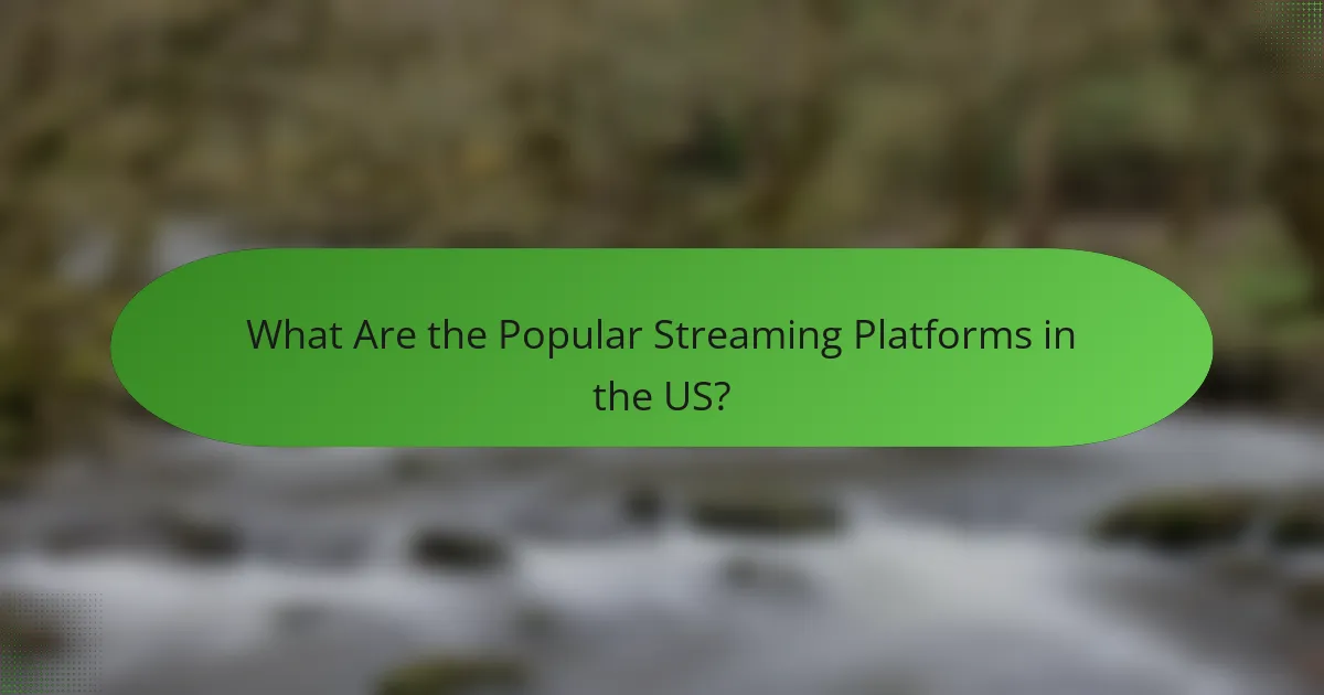What Are the Popular Streaming Platforms in the US?