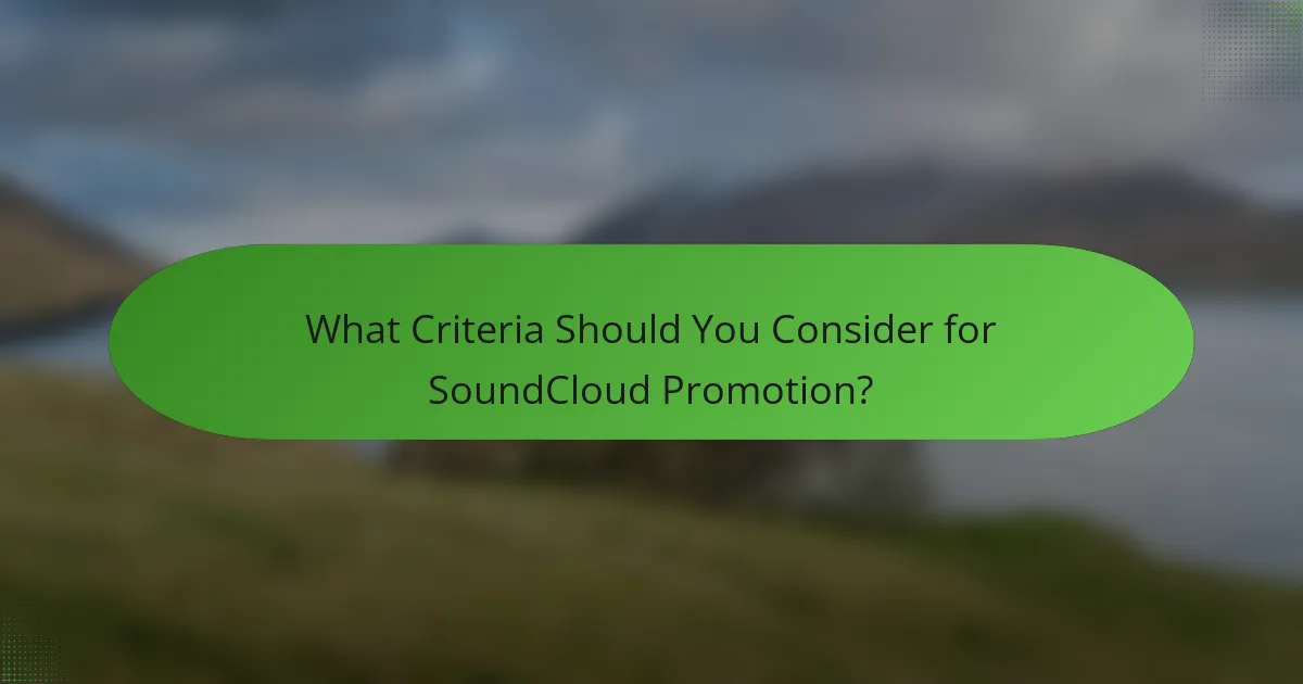 What Criteria Should You Consider for SoundCloud Promotion?