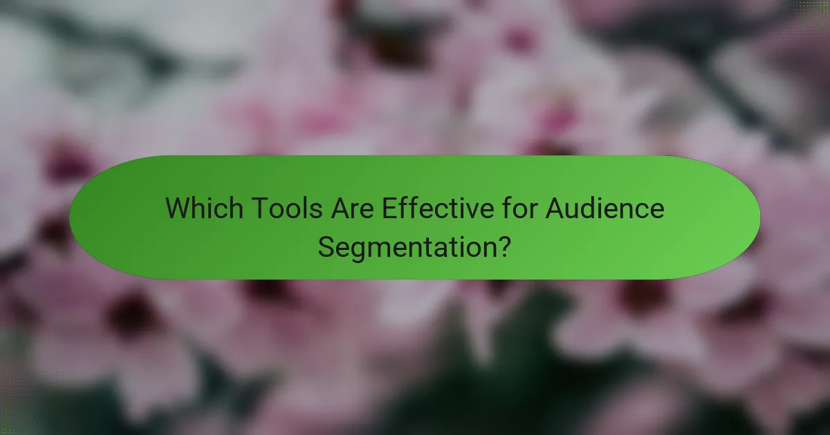 Which Tools Are Effective for Audience Segmentation?